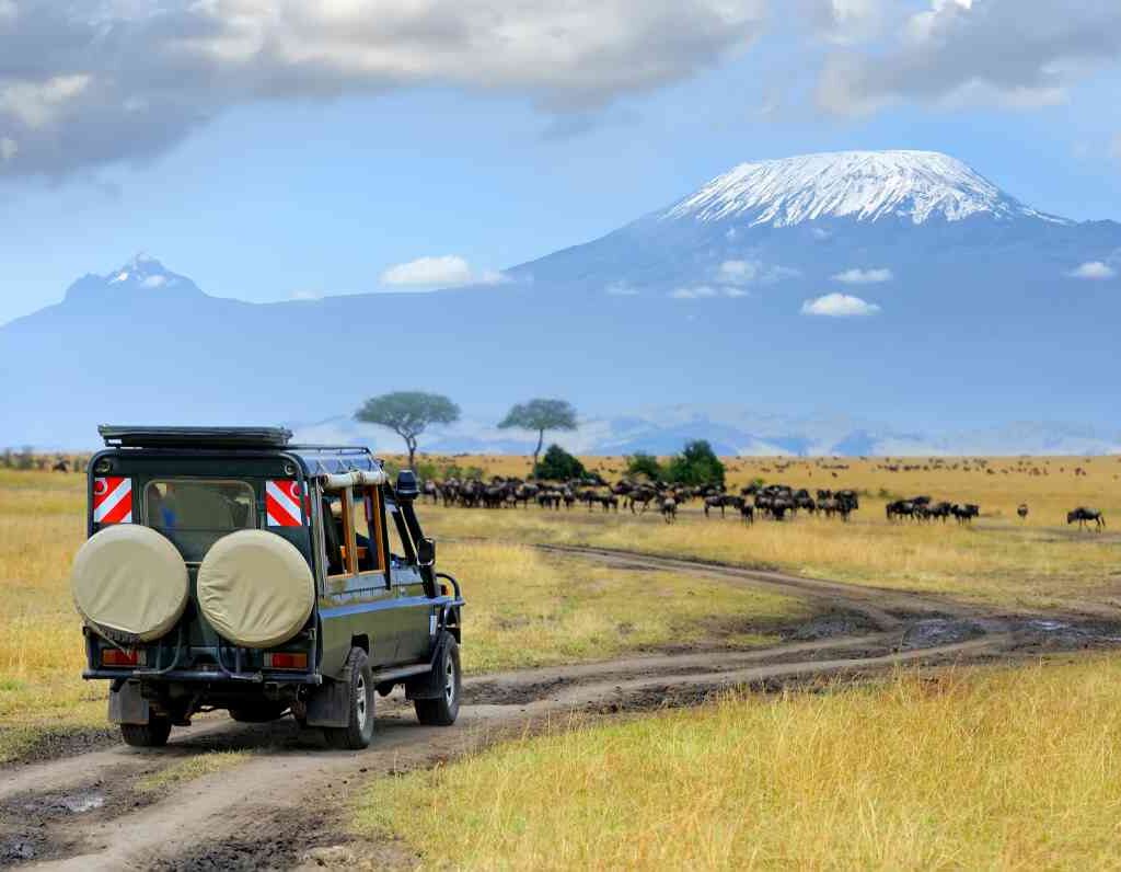 1 Day Trip to Amboseli National Park from Nairobi